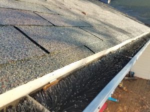 Roof,shingles,and,gutter,with,black,gutter,guard,pipe,cleaner
