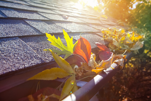 Colorful,fall,leaves,in,the,gutter,on,a,roof